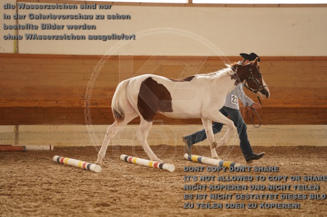 s_A_901178.JPG